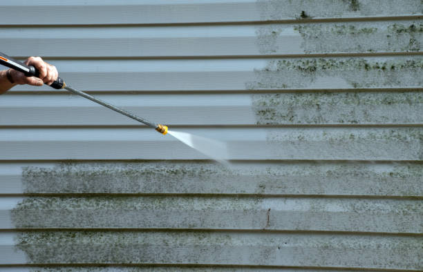 Best Fence Pressure Washing  in Wyoming, MN