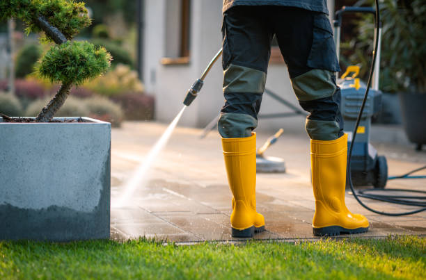 Best Best Pressure Washing Companies  in Wyoming, MN